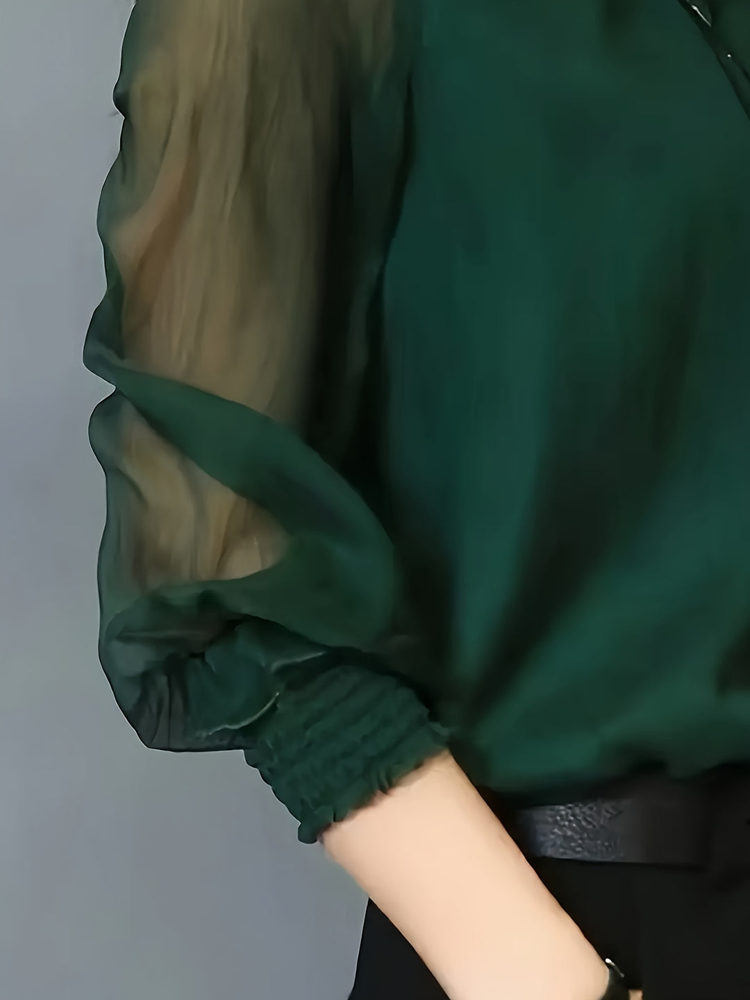 Leonora | Sheer-Sleeve Stand Collar Blouse