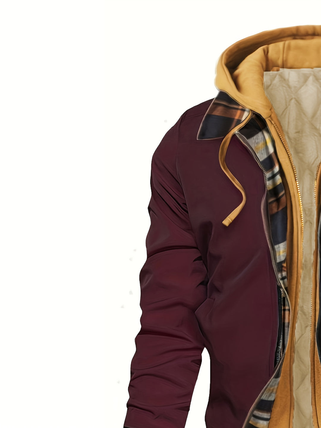 Everett | Insulated Hooded Zip Jacket