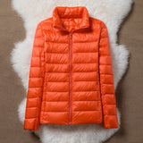 Rosemarie | Lightweight Padded Jacket