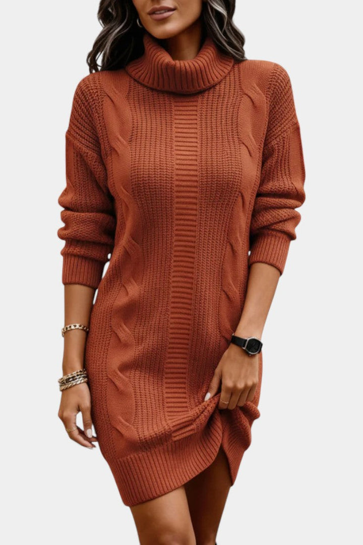 Cecily | Cosy Roll Neck Knit Dress