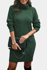 Grace | Roll Neck Knitted Dress