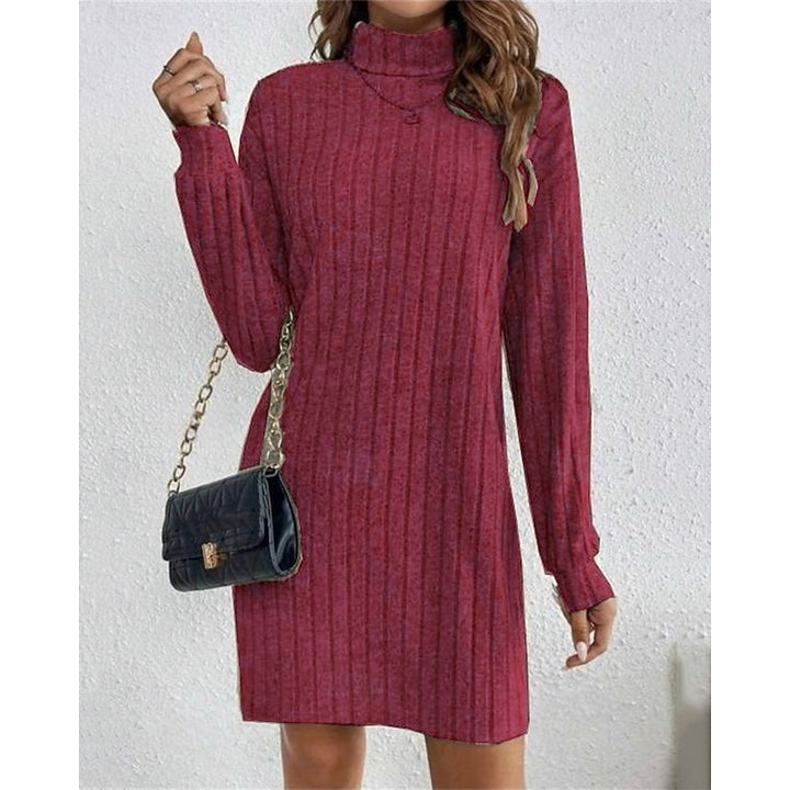 Willow | Soft Ribbed High-Neck Jumper Dress